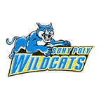 University of New York Polytechnic Institute